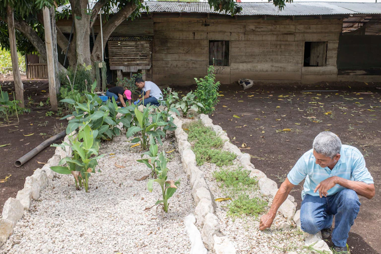 Parcela de terreno en un patio cubierta de arena y plantas.