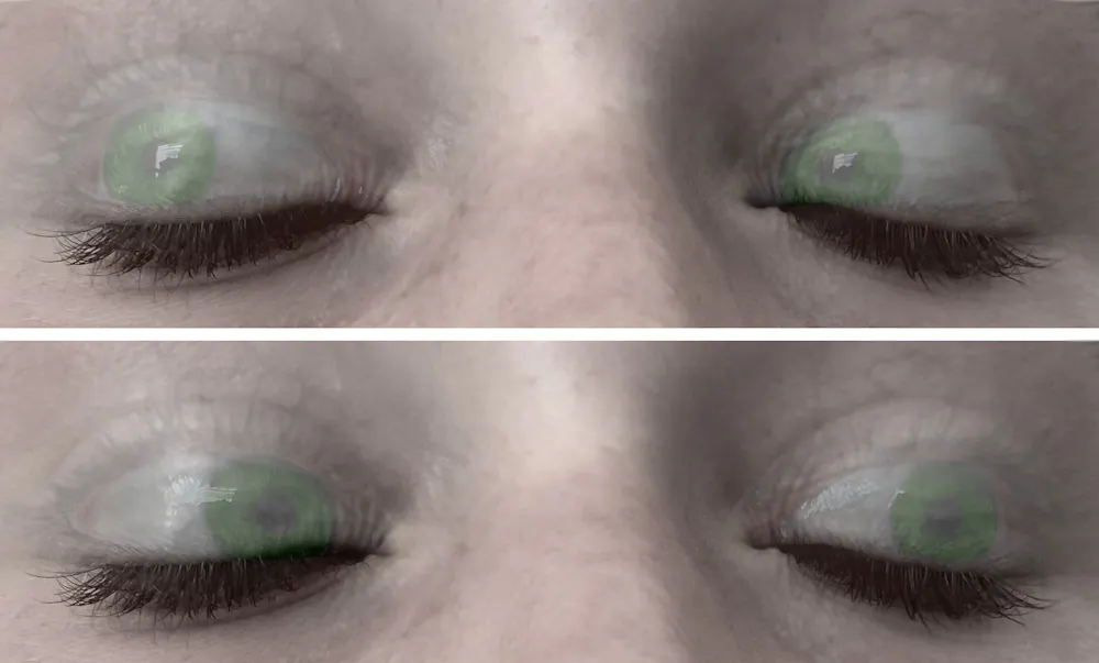 Rapid Eye Movements In Sleeping Mice Match Where They Are Looking In rapid-eye-movements-in-sleeping-mice-match-where-they-are-looking-in