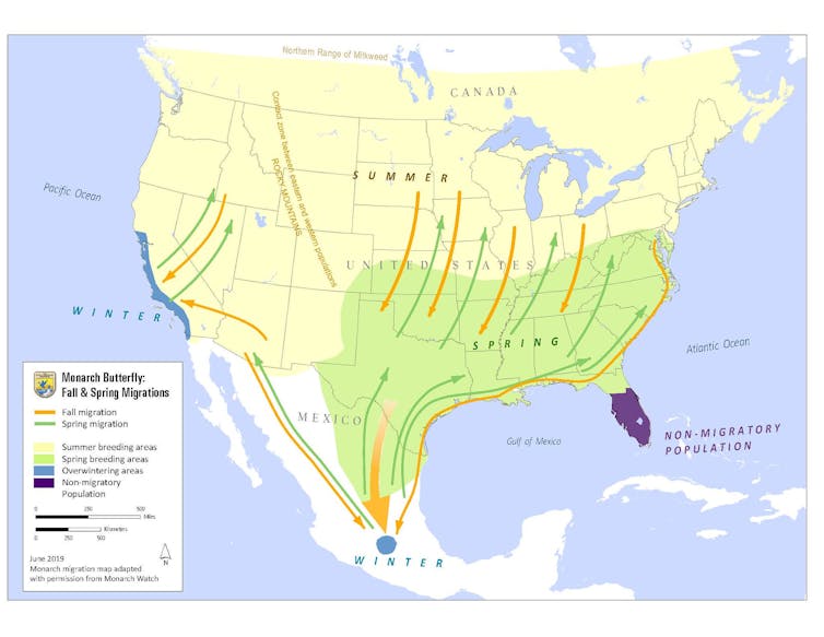 A map of North America showing the migration patterns of the monarch butterfly.