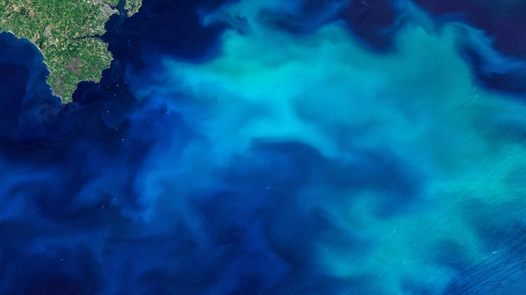 A satellite image of the ocean with a turquoise plume.