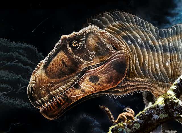 artists illustration of a large dinosaur