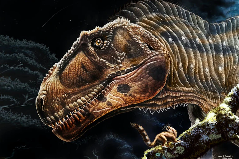 artists illustration of a large dinosaur
