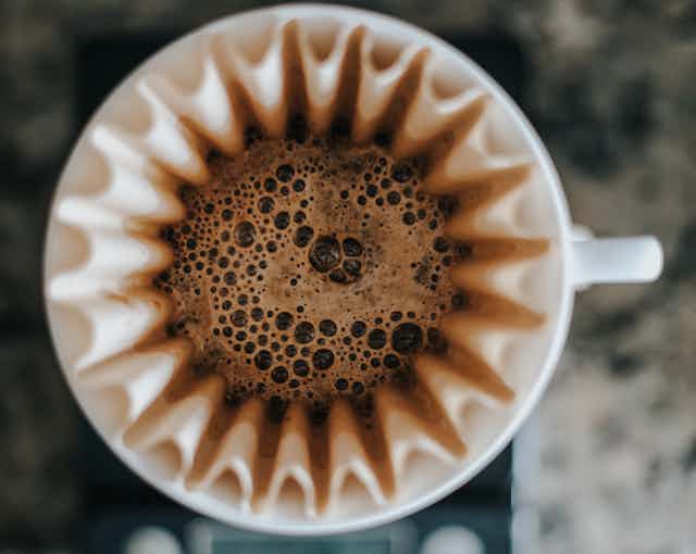 Overhead view of coffee poured in a coffee filter, with flared out edges looking like a flower