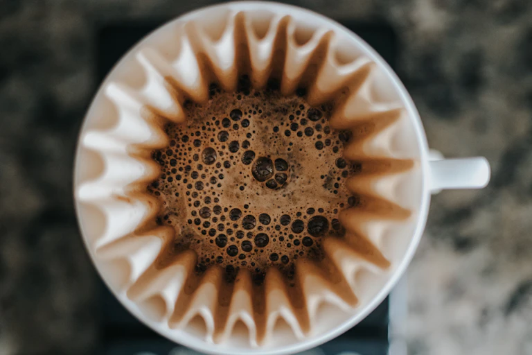 Overhead view of coffee poured in a coffee filter, with flared out edges looking like a flower