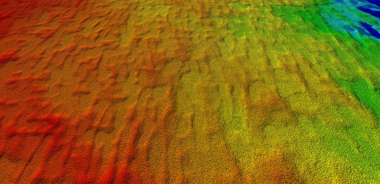 Coloured map showing a digital model of the landscape preserving linear dune features.