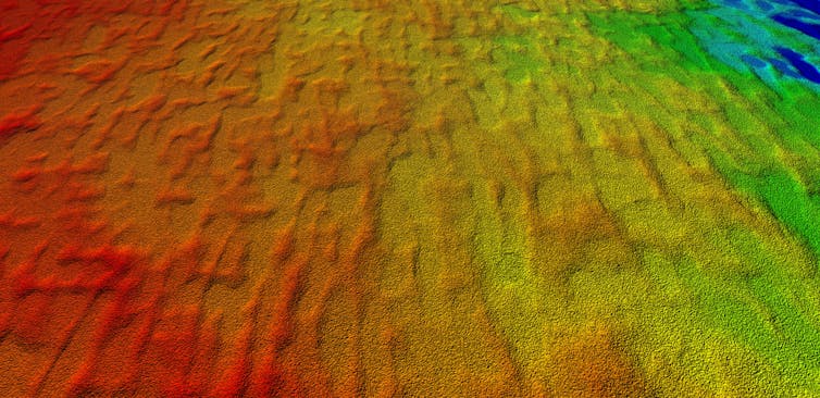 Coloured map showing a digital model of the landscape preserving linear dune features.