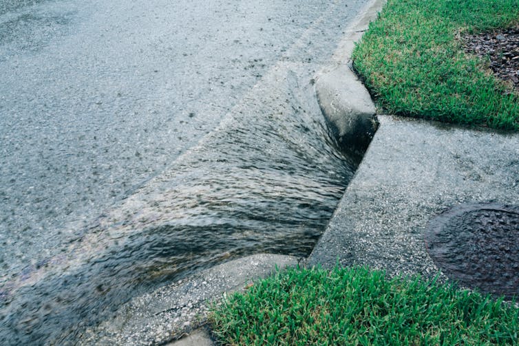Water flowing into a sewer drain during heavy rain on a suburban street.