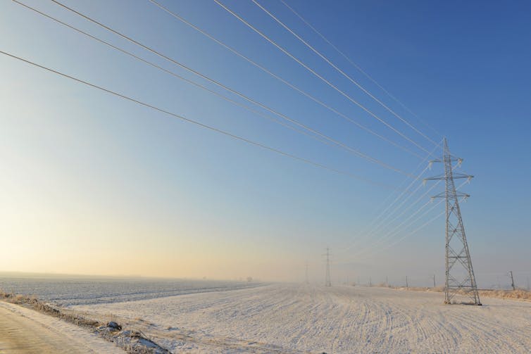Pylons in snowy field
