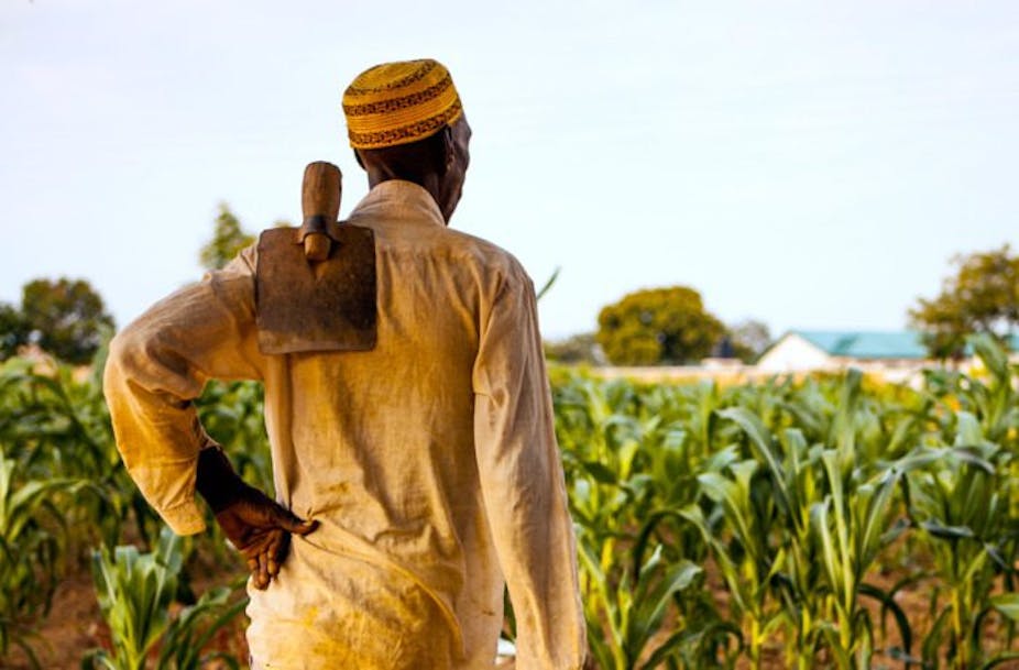 Why Farmers in Northern Ghana Go to Bed Hungry