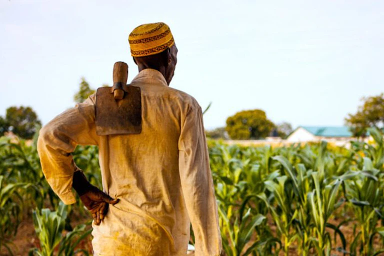 Man carrying a hoe on a farm