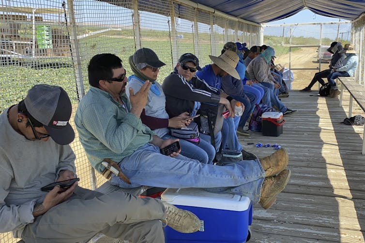 Farm workers sit in an open-air truck with a tarp over the top for shade.