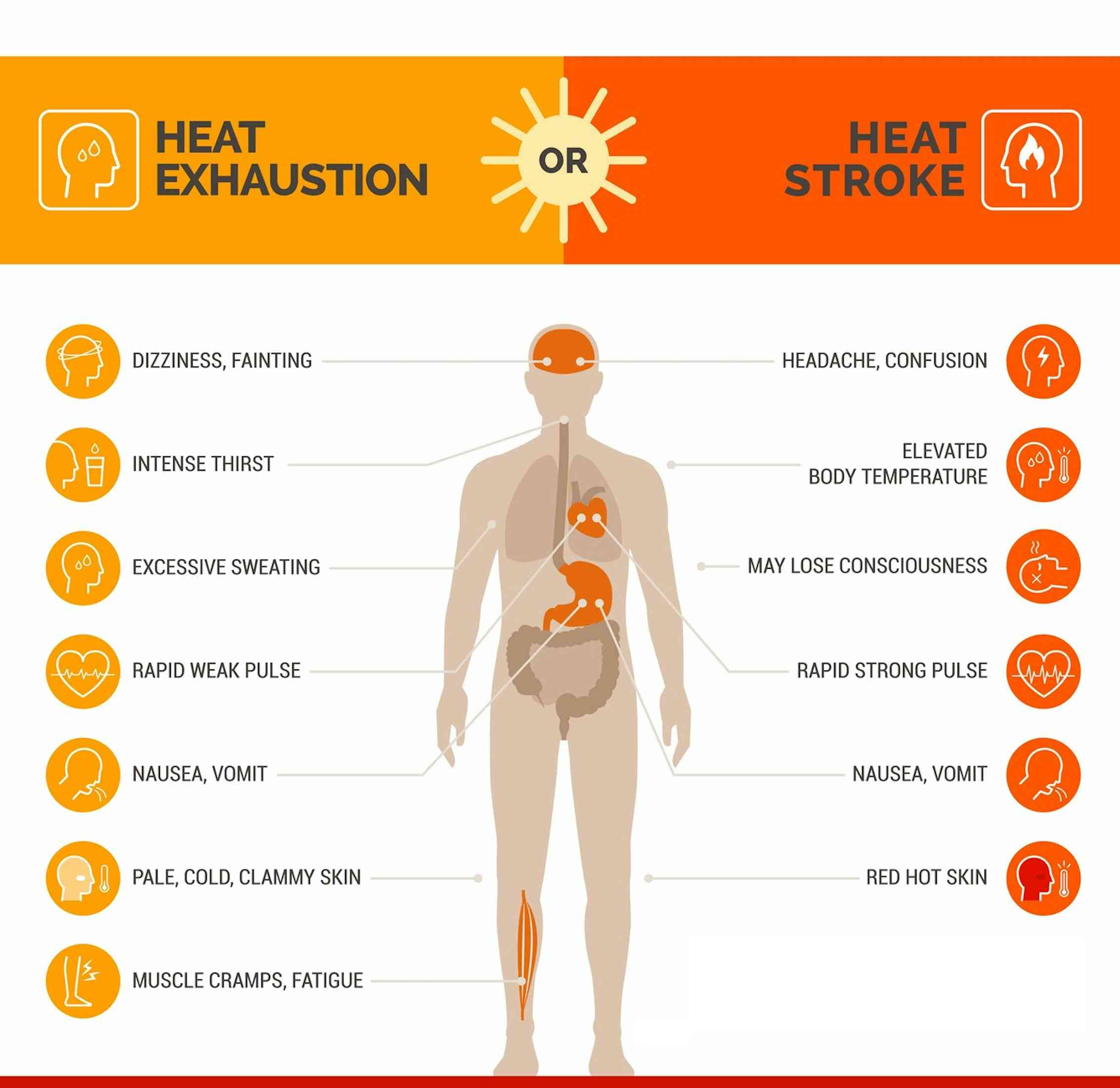 If you thought this summer’s heat waves were bad, a new study has some