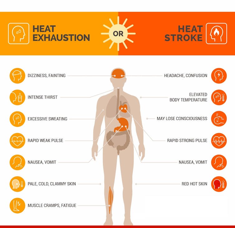 Illustration of human body listing symptoms of heat strike and heat exhaustion.