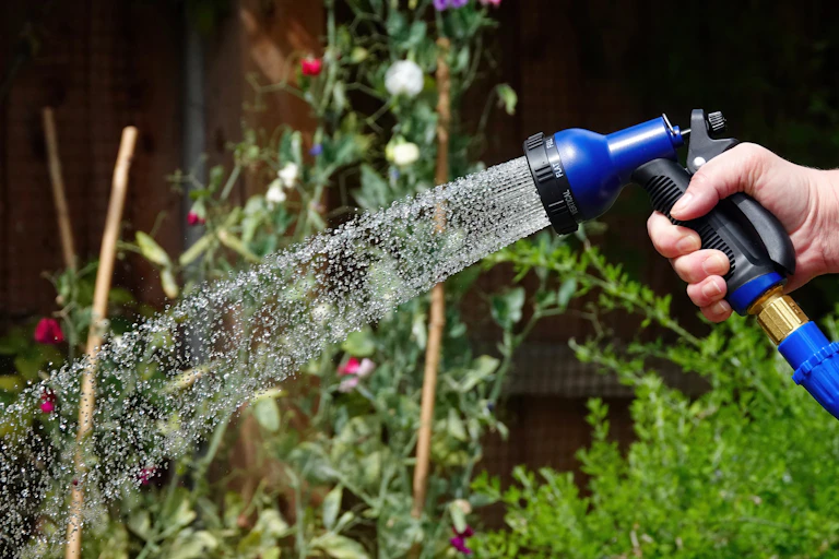 Hose pipe spraying plants.