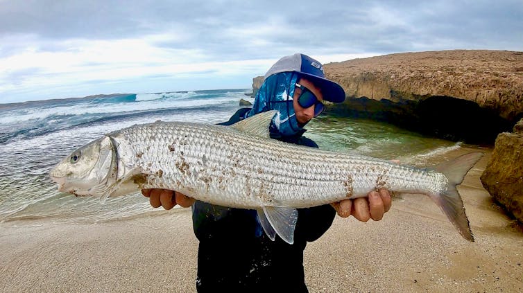 l'homme tient de gros poissons d'argent