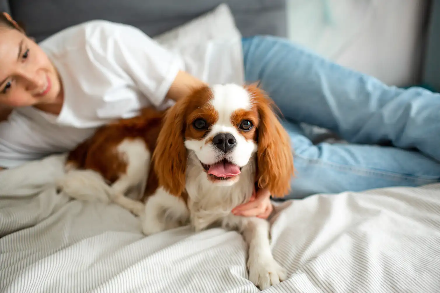 Much loved Dog Breeds Are Just As Likely To Bite As Banned Ones Here much-loved-dog-breeds-are-just-as-likely-to-bite-as-banned-ones-here