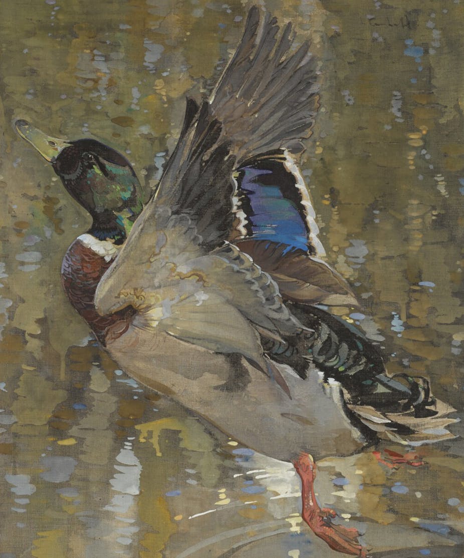 A painting of a mallard duck taking flight from a lake by Glasgow Boy Joseph Crawhall