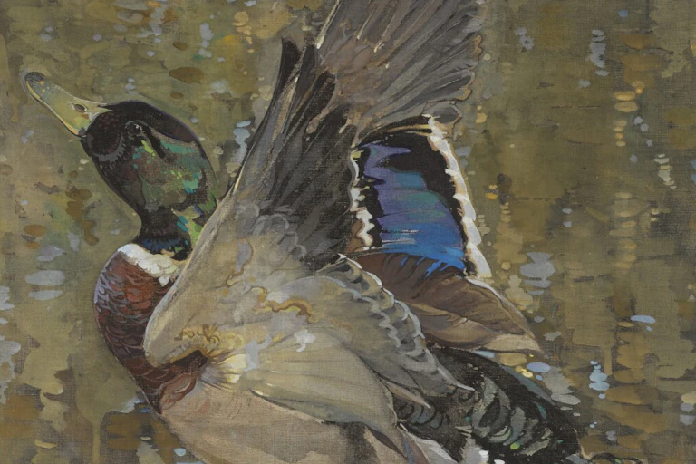 A painting of a mallard duck taking flight from a lake by Glasgow Boy Joseph Crawhall