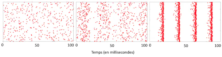 Grafico che mostra la sincronizzazione dei neuroni nel modello