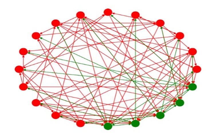 Graph  of neurons in the model