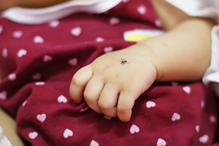 Mosquito sitting on a child's hand.