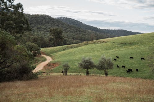 Labor's biodiversity market scheme needs to be planned well – or it could lead to greenwashing