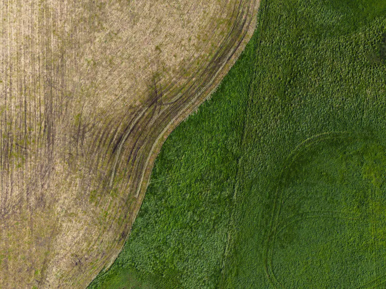 farm