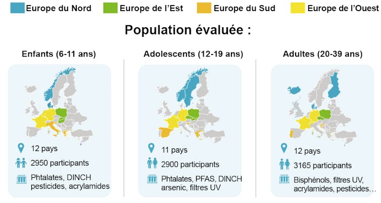 Cohortes par tranches d’âge pour les études de biosurveillance en Europe