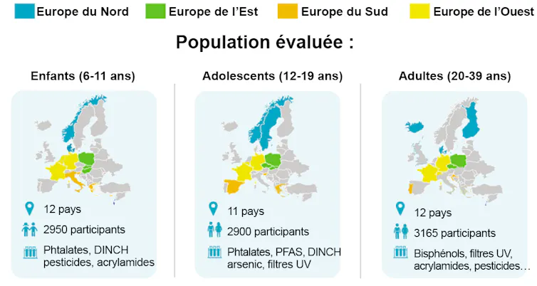 Cohortes par tranches d’âge pour les études de biosurveillance en Europe