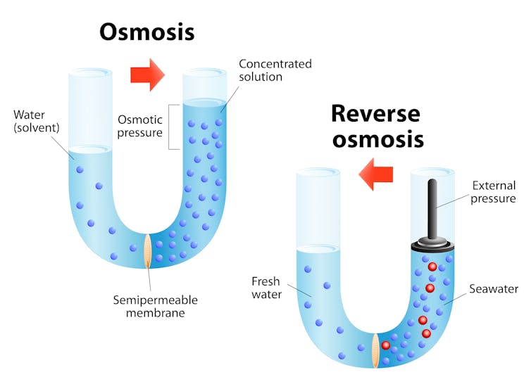 A diagram illustrating reverse osmosis. Water is forced through a membrane whose pores are too small to let salt molecules through.