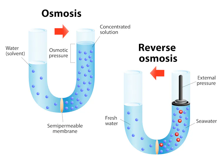 A diagram illustrating reverse osmosis. Water is forced through a membrane whose pores are too small to let salt molecules through.