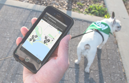 How we can use gaming to support positive ageing (and support our relationships with our pets, too)