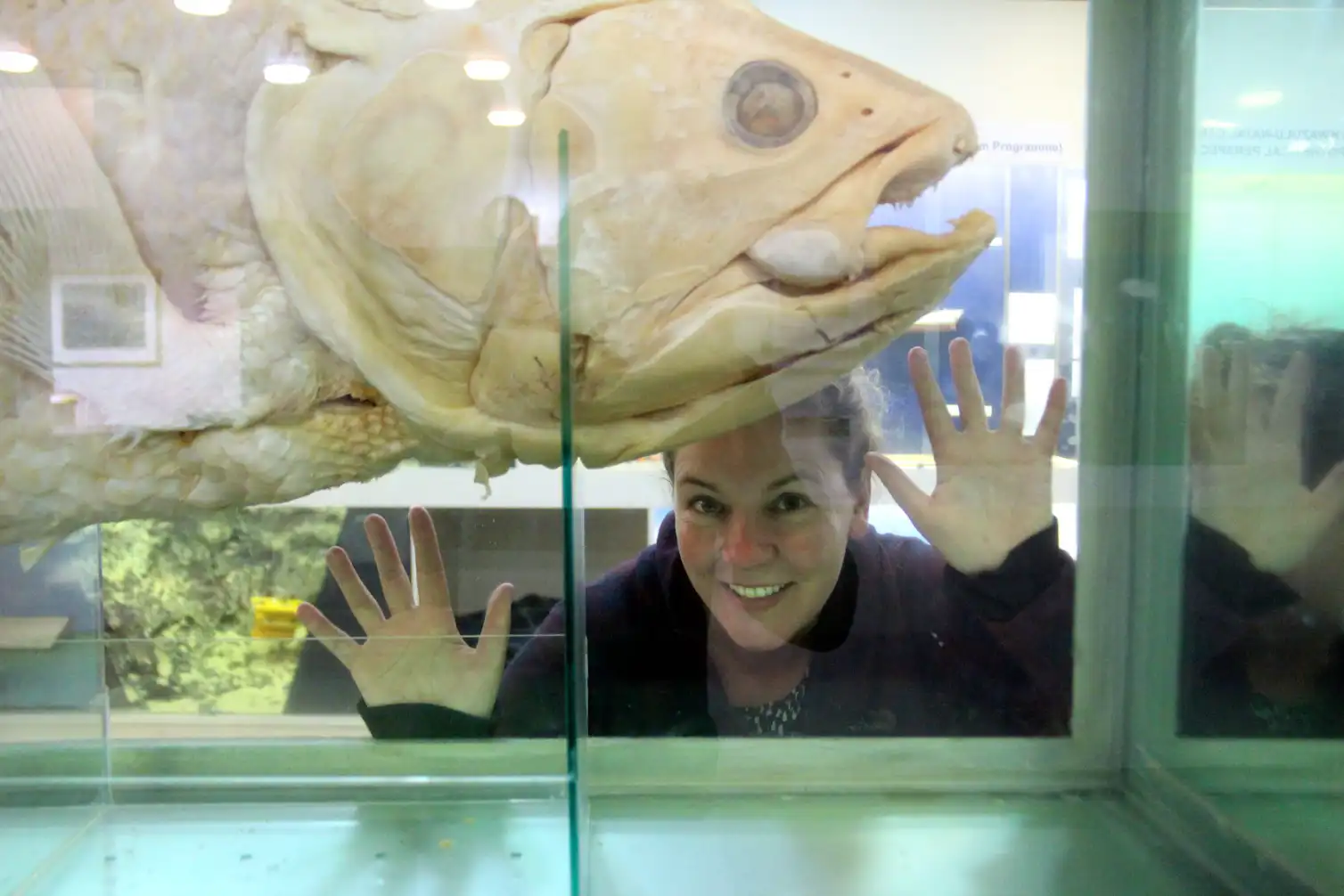 From Coelacanths To Crinoids These 9 living Fossils Haven t Changed from-coelacanths-to-crinoids-these-9-living-fossils-haven-t-changed