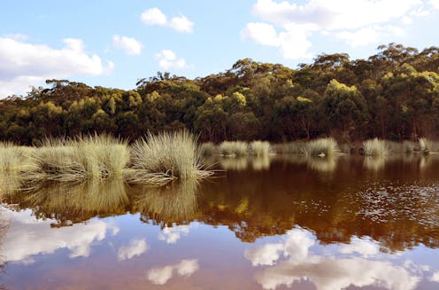 We helped fill a major climate change knowledge gap, thanks to 130,000-year-old sediment in Sydney lakes