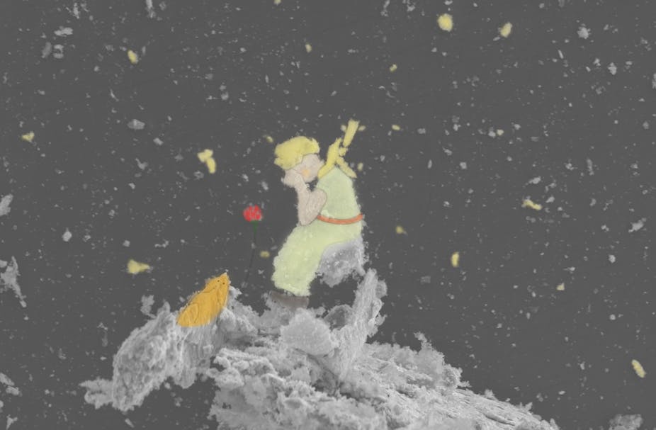 Colorisation du petit prince sur une microscopie de film de carbone