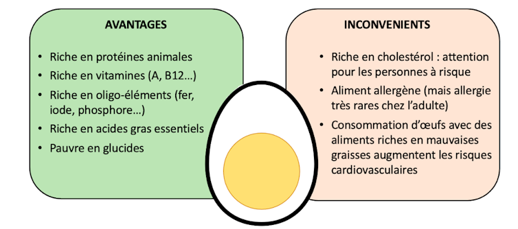 Avantages (riche en protéines, minéraux, vitamines…) et inconvénients (cholestérol, allergène…) de la consommation d’œufs