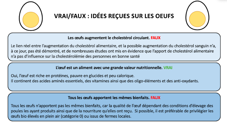 Le vrai ou faux (cholestérol, valeur nutritionnelle, impact de la vie des poules)