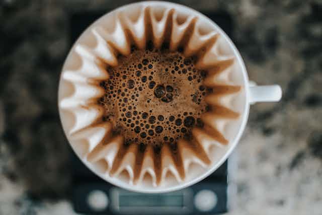 Vue aérienne d'un café versé dans un filtre à café, dont les bords évasés ressemblent à une fleur.