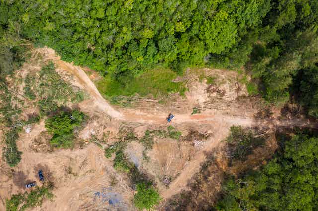 Aerial view of a dirt road running along the edge of a cleared rainforest