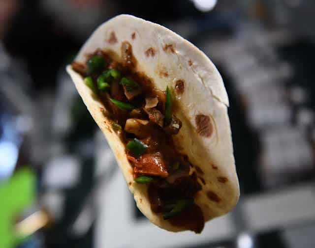 A taco floating in air, filled with red and green veggies