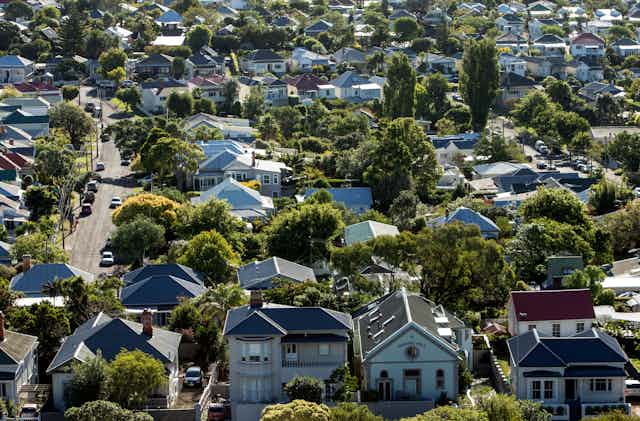 aerial view of houses in Auckland suburb