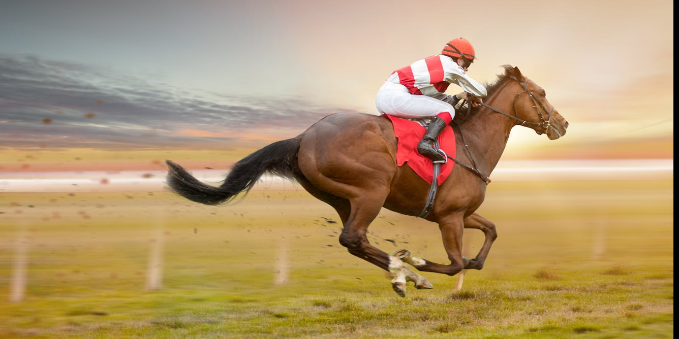 The horseracing industry is ignoring what science says about whipping