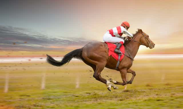 Jockey rides a galloping horse
