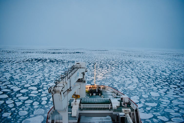 The front of a ship shown ploughing through a field of rounded ice 'pancakes'