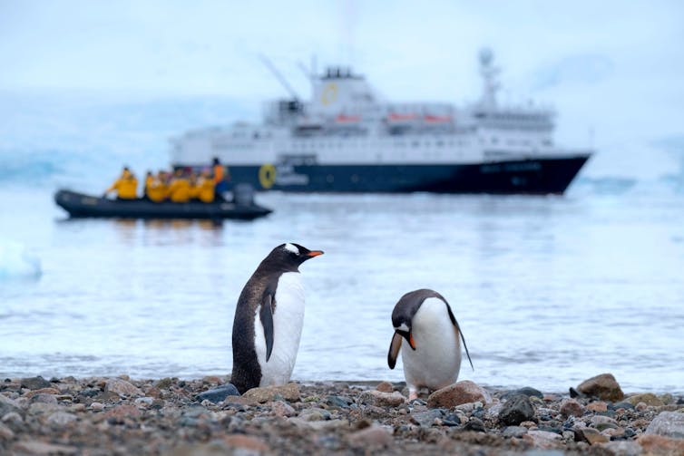 Antarctic stations are plagued by sexual harassment – it's time for things to change