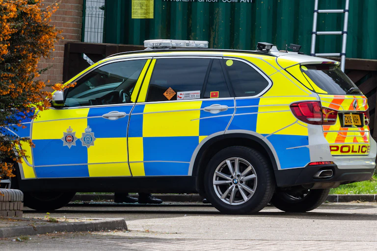 A blue and yellow checkered police car partially obscured by an orange bush.