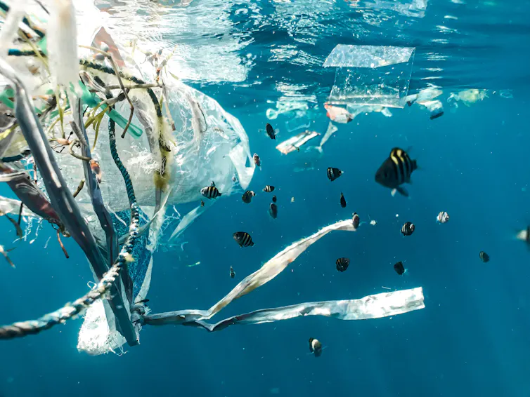 plastic fish