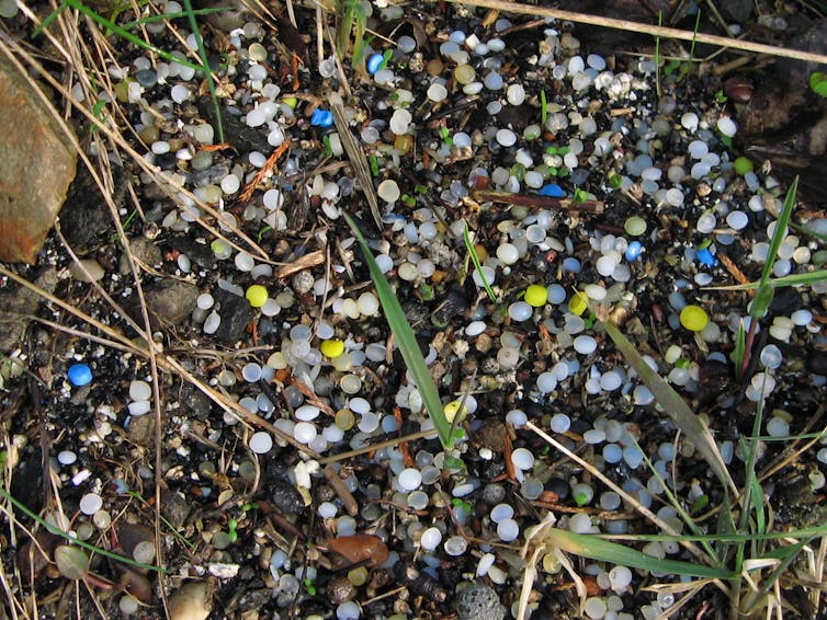 Nurdles on beach