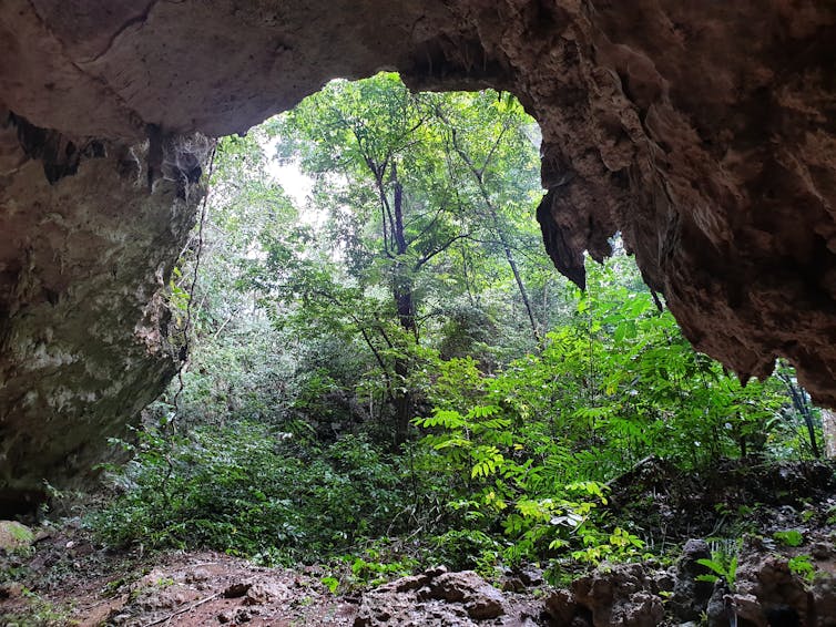 View of a green landscape from the inside of a stone cave