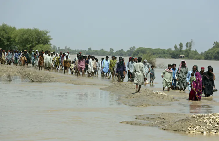 A line of people standing in water.